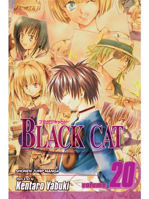 cover image of Black Cat, Volume 20